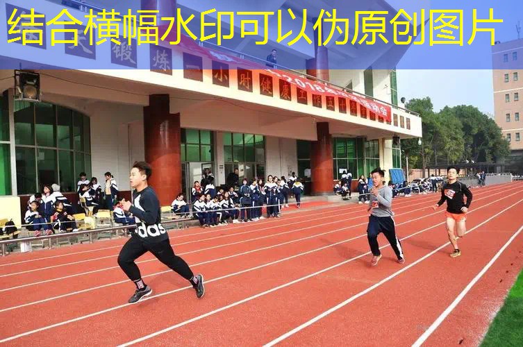 网球拍国行和美行的区别