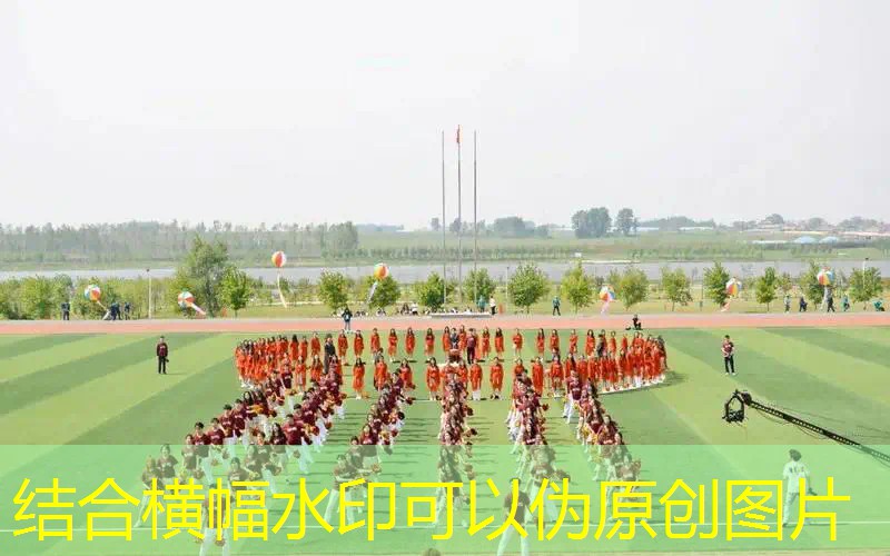 全碳素的网球拍价格是多少