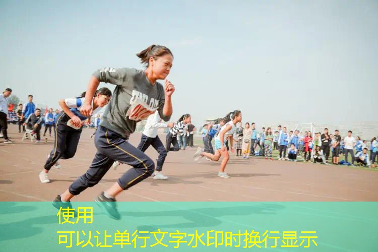 德尔波特网球拍价格表