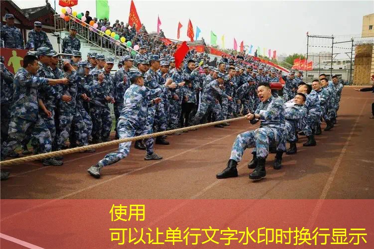 百宝力网球拍26寸 百宝力网球拍26寸