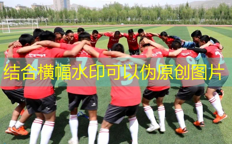 网球拍和羽毛球拍哪个更硬 网球拍和羽毛球拍哪个更硬