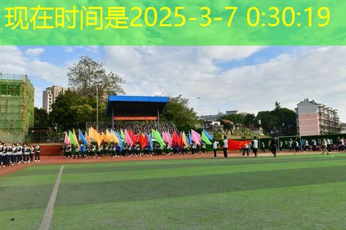 网球拍315克适合新手嘛
