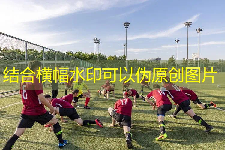网球拍新款和老款的区别