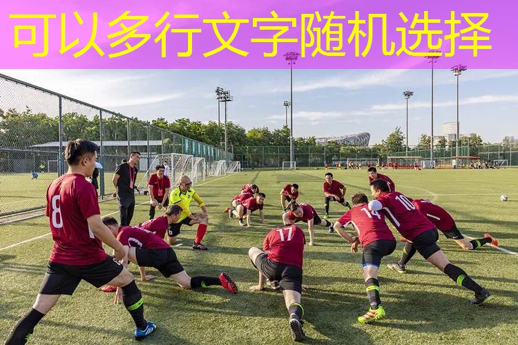网球拍用什么快递好呢耐用 网球拍用什么快递好呢耐用