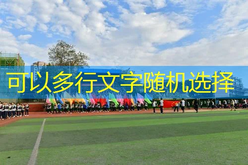 海德网球拍平价眼影盘粉色 海德网球拍平价眼影盘粉色
