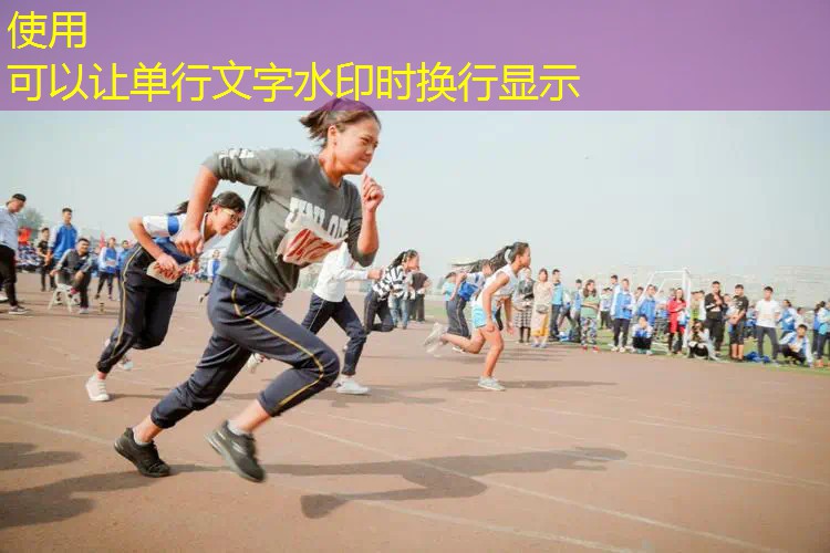 邓禄普限量版网球拍 邓禄普限量版网球拍