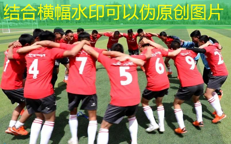 威尔逊网球拍参数解读 威尔逊网球拍参数解读