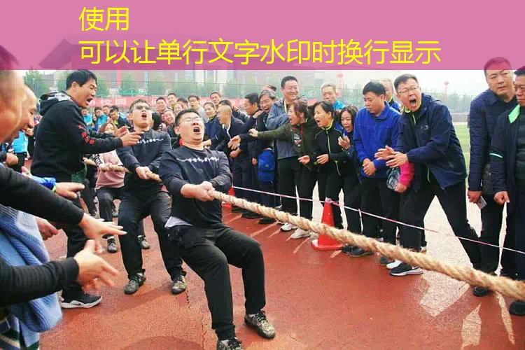 网球拍价格威尔逊多少 网球拍价格威尔逊多少
