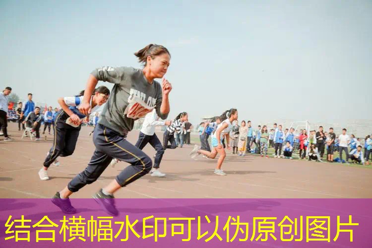 威尔逊网球拍贵吗_ 威尔逊网球拍贵吗_
