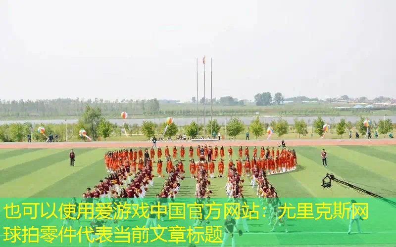 尤里克斯网球拍零件 尤里克斯网球拍零件