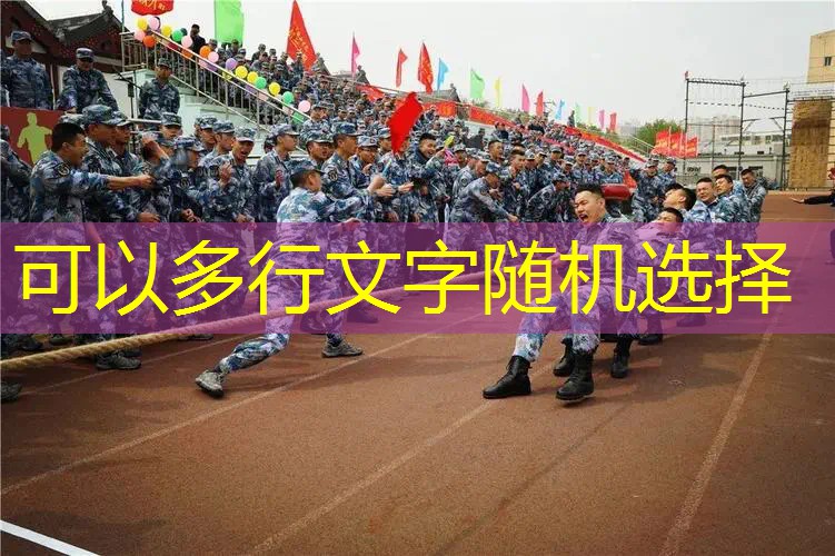 猪猪侠之炮弹网球拍22集 猪猪侠之炮弹网球拍22集