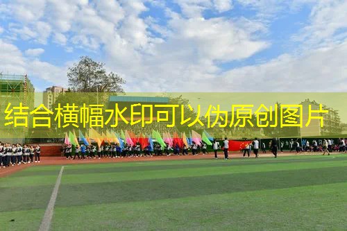 如何选篮球网球拍子型号