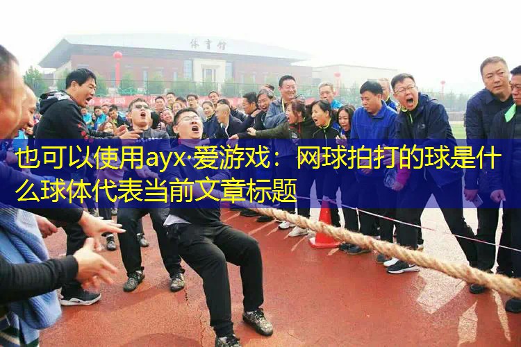 网球拍打的球是什么球体 网球拍打的球是什么球体