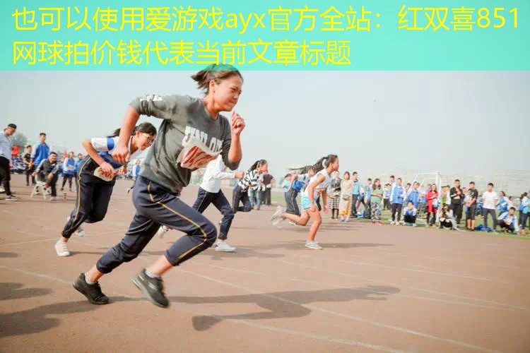 红双喜851网球拍价钱