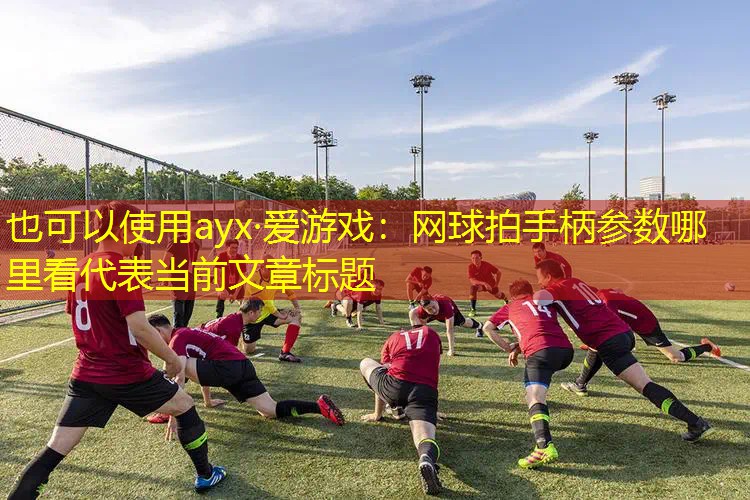 网球拍手柄参数哪里看