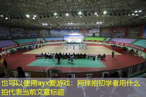 网球拍初学者用什么拍 网球拍初学者用什么拍
