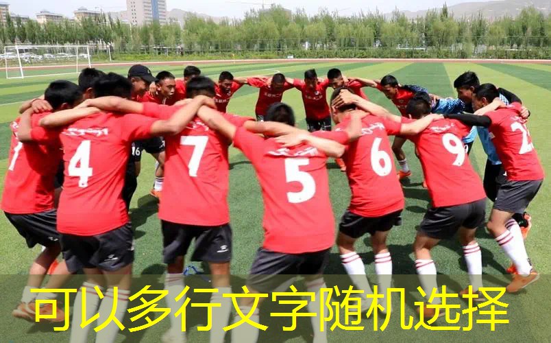 尤尼克斯网球拍喷漆 尤尼克斯网球拍喷漆