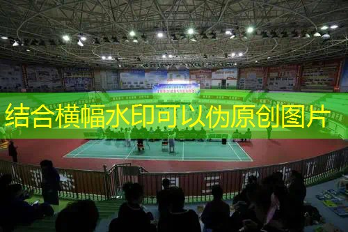 网球拍碳铝和全碳素 网球拍碳铝和全碳素