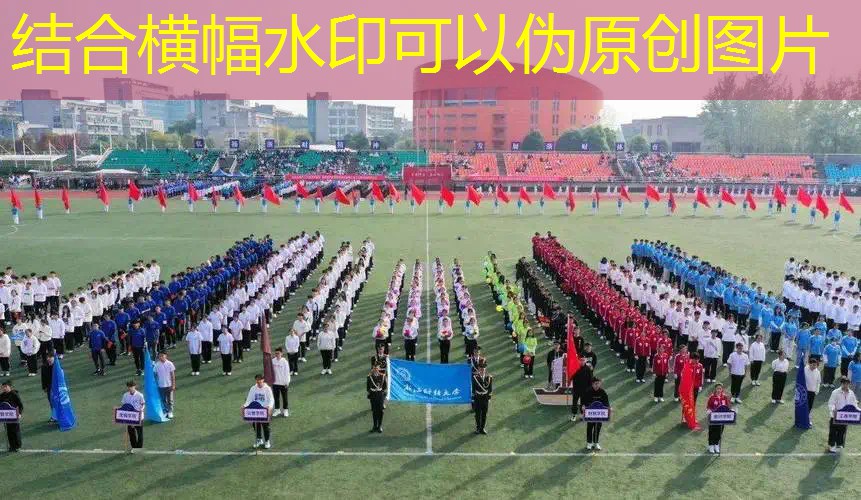 花利体育用品网球拍 花利体育用品网球拍
