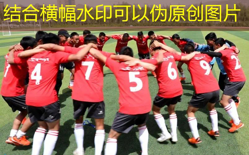 室内健身的三大要点 室内健身的三大要点