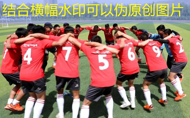 偃师室内乒乓球台 偃师室内乒乓球台