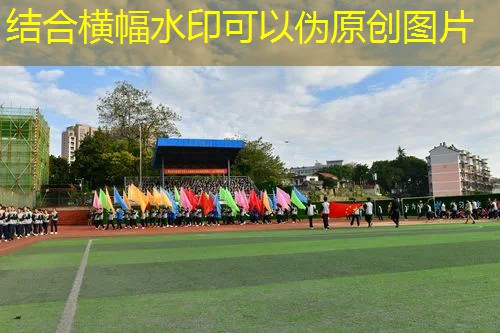 乒乓球台上的球叫什么球 乒乓球台上的球叫什么球