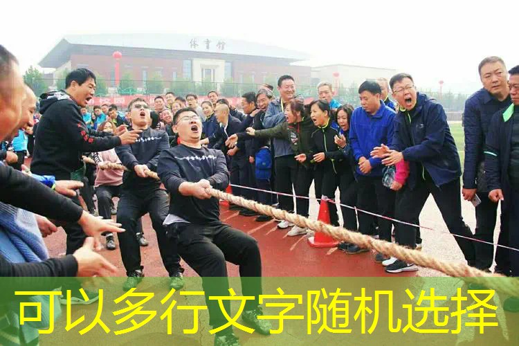 最贵的乒乓球台儿 最贵的乒乓球台儿