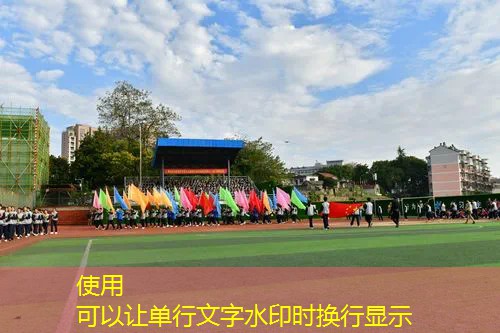 塑胶跑道材料在学校体育设施中的重要作用 塑胶跑道材料在学校体育设施中的重要作用