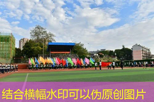 小孩篮球体能训练器材推荐 小孩篮球体能训练器材推荐