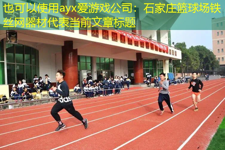 石家庄篮球场铁丝网器材 石家庄篮球场铁丝网器材